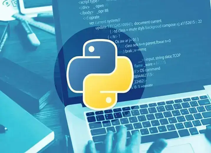 Junior python developer Course For Beginners